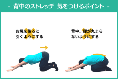 【気をつけるポイント】